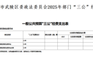  2025年中共常德市武陵区委政法委员会“三公”经费支出情况表