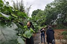 武陵区委政法委：走进大自然　重温美好时光