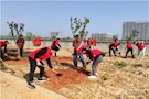 志愿植树添绿荫，和谐美好建武陵
